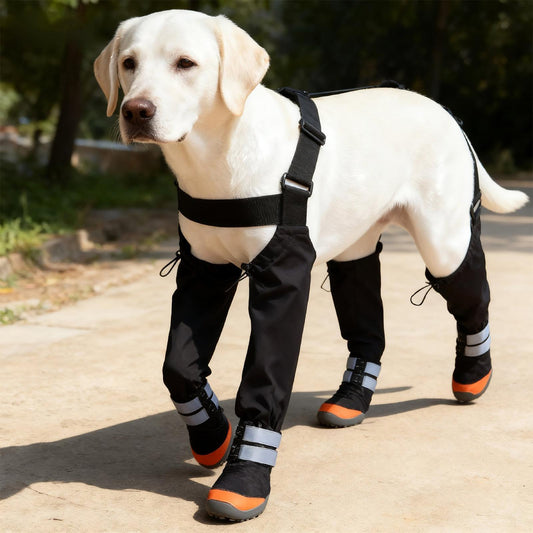 Skyddande hundskor för aktiva hundar
