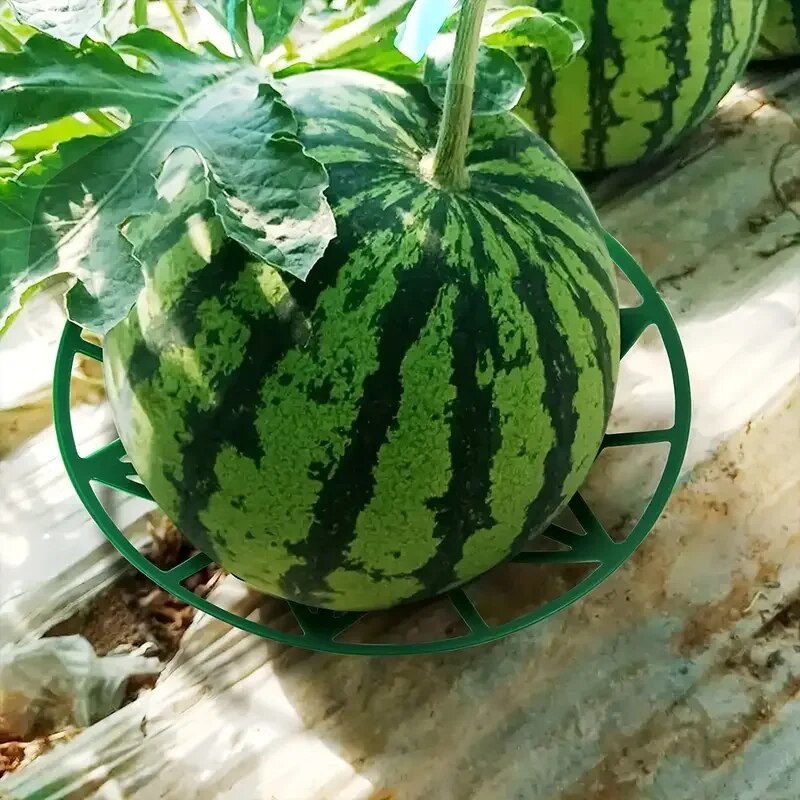 MelonLift 20-Pack