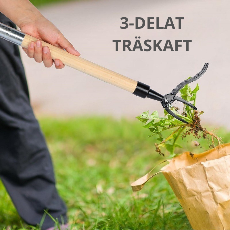Ogräsplockare