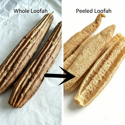 Naturvänlig loofahsvamp 2-pack