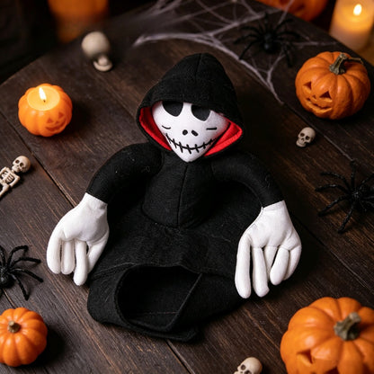 Halloweenkostym för hund