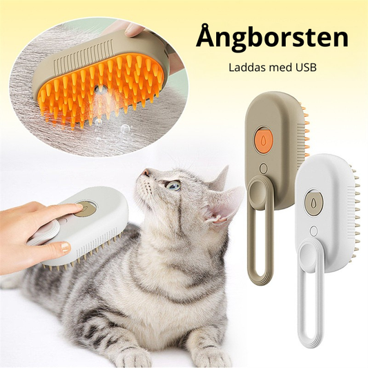 Ångborsten