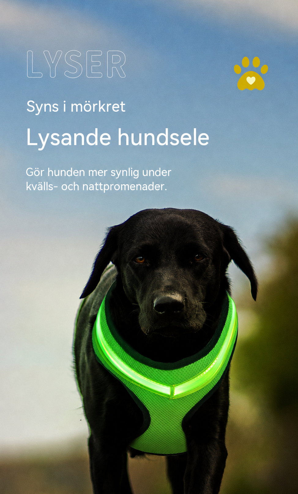 LED-sele med reflexer