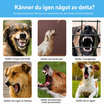 Antiskällhalsband