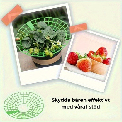 Jordgubbsstöd 20-Pack